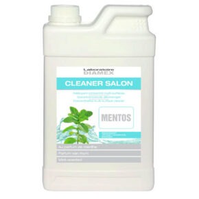 Detergent Diamex Cleaner pentru salon Mentos